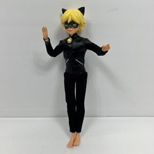 Miraculous Cat Noir 2020 Zagtoon Playmates Articulate Action Figure